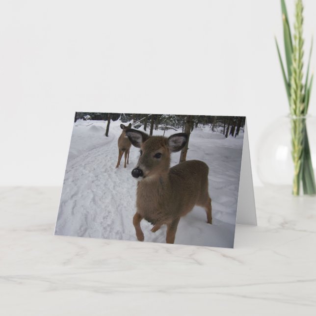 friendly card (Front)