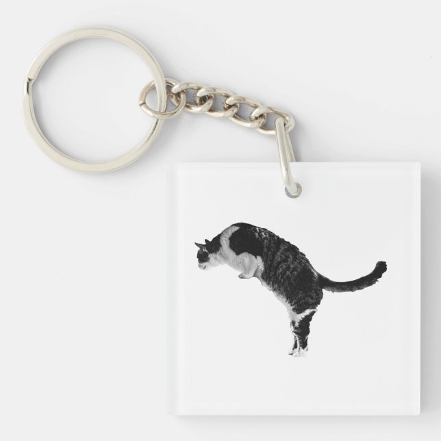 Friendly Cat Key Ring (Front)