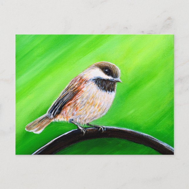 Friendly Chickadee Painting Postcard (Front)