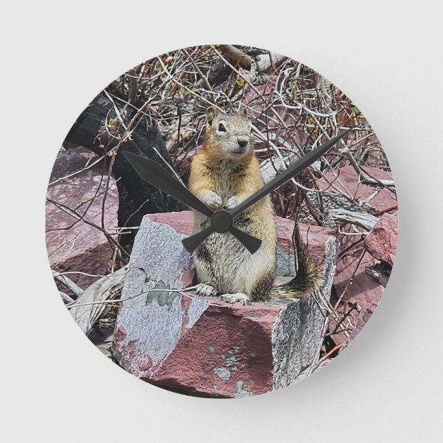 Friendly Chipmunk Round Clock (Front)