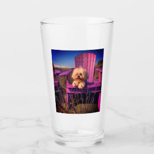 Friendly Cute Shih Tzu Puppy Smiles, Purple Chair Glass