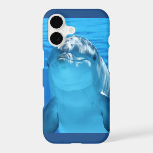 Friendly Dolphin Photo