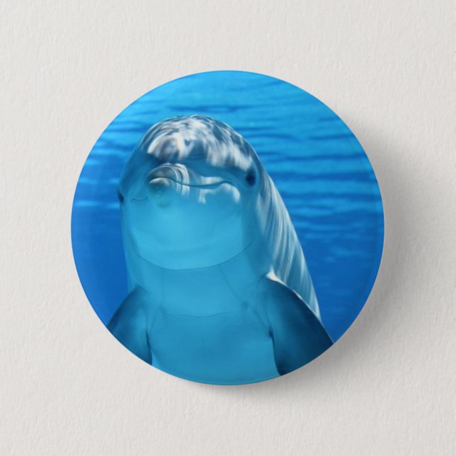 Friendly Dolphin Photo 6 Cm Round Badge (Front)