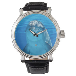 Friendly Dolphin Photo Watch