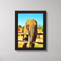 Friendly Elephant