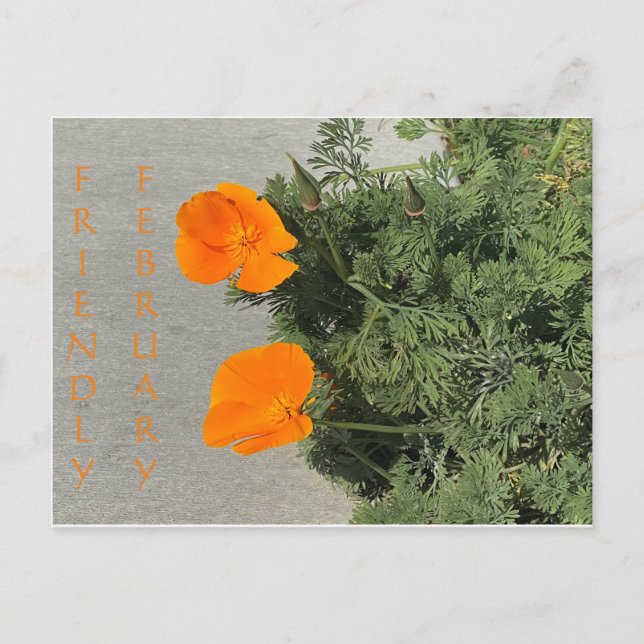 Friendly February! Postcard (Front)