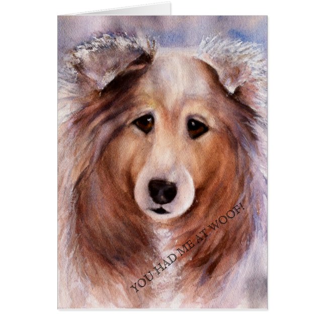 FRIENDLY GOLDEN COLLIE (Front)