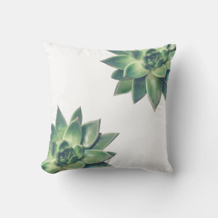 Friendly Green Succulent Plants on White Cushion