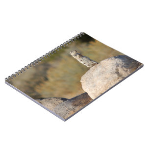 Friendly Greetings Spiral Notebook