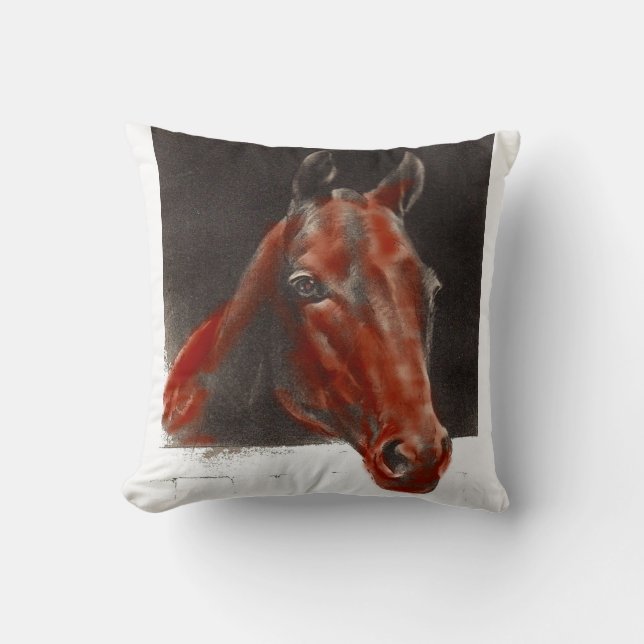 friendly horse cushion (Front)