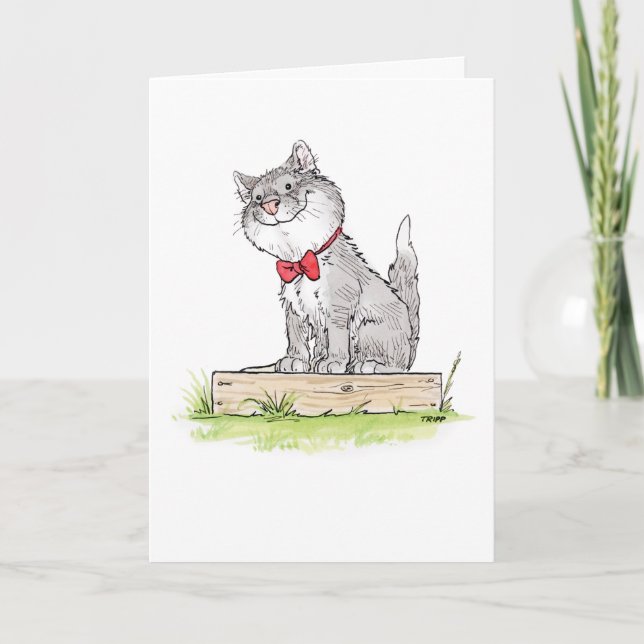 Friendly Kitty Card (Front)