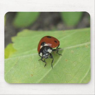 Friendly Ladybug Mouse Pad