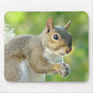 Friendly Little Squirrel Mousepad