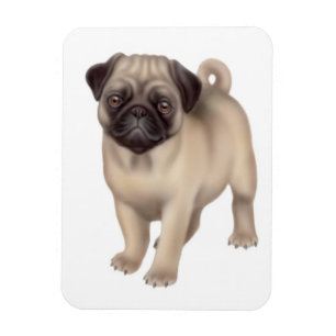 Friendly Pug Dog Premium Magnet