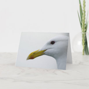 Friendly Seagull? Card