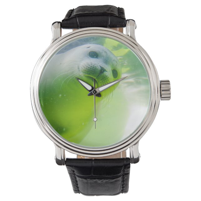 Friendly Seal Watch (Front)