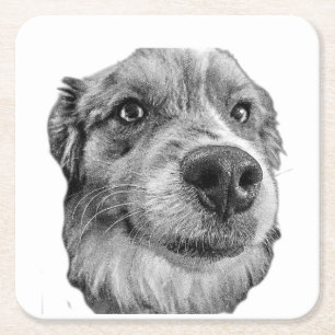 Friendly Stare Square Paper Coaster