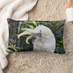 Friendly Sulphur-Crested Cockatoo Waves Hello Lumbar Cushion