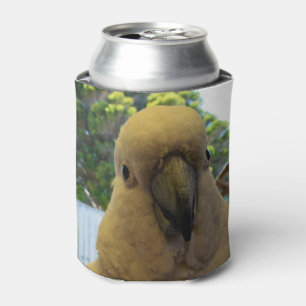 Friendly White Aussie Cockatoo, Can Cooler