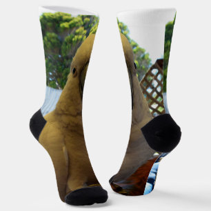 Friendly White Aussie Cockatoo, Crew Socks