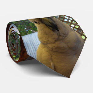 Friendly White Aussie Cockatoo, Neck Tie