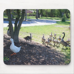 Friendly White Duck with Geese Mouse Pad