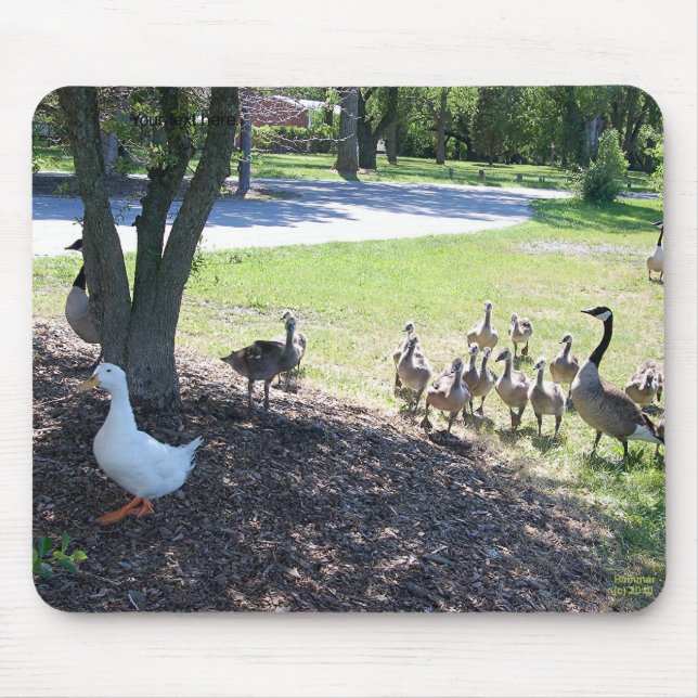 Friendly White Duck with Geese Mouse Pad (Front)