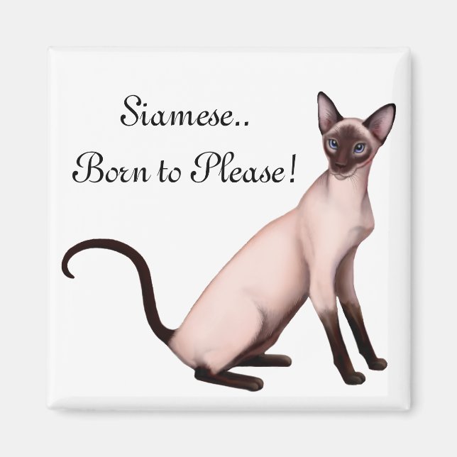 Friendly Young Siamese Cat Customisable  Magnet (Front)