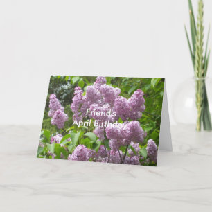 Friend's April Birthday Beautiful Lilacs  Card