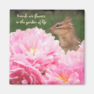 Friends are Flowers Quote Chipmunk Magnet