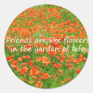 Friends Are Like Flowers Classic Round Sticker