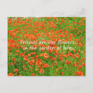 Friends Are Like Flowers Postcard