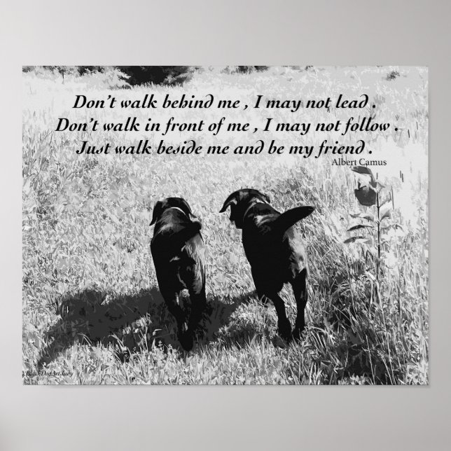 Friends - Black Lab Poster (Front)