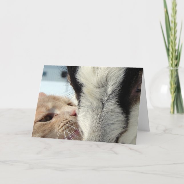 Friends Card (Front)