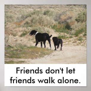 Friends don't let friends walk alone. poster