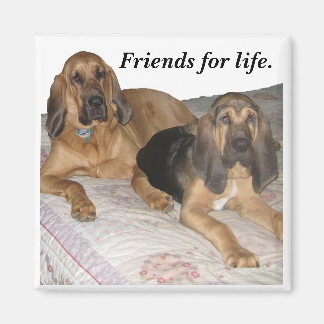 Friends for life. magnet (Front)
