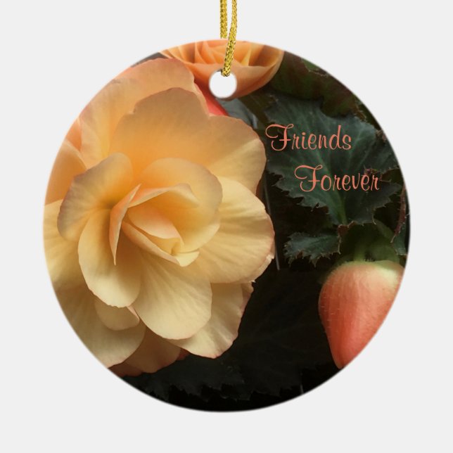 Friends Forever Ceramic Tree Decoration (Front)