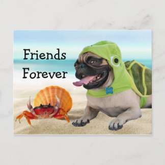 Friends Forever: Crab + Turtle Pug Postcard