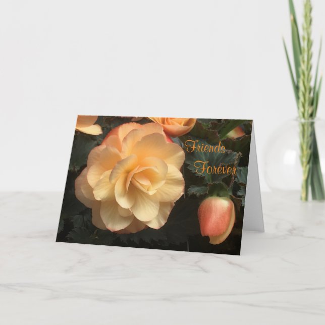 Friends Forever Holiday Card (Front)