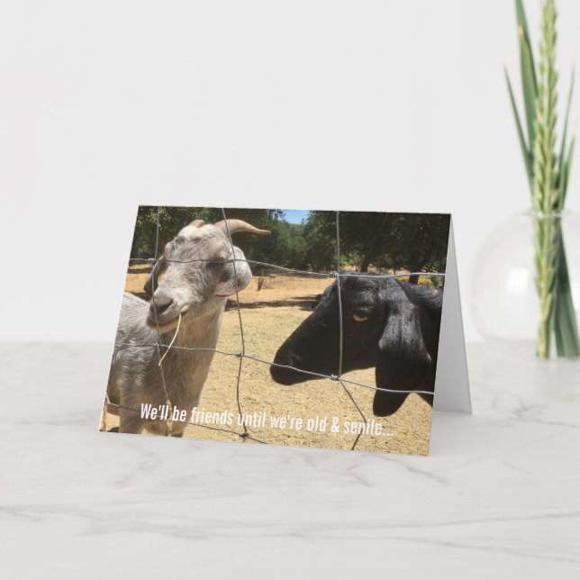 Friends Forever Silly Card (Front)