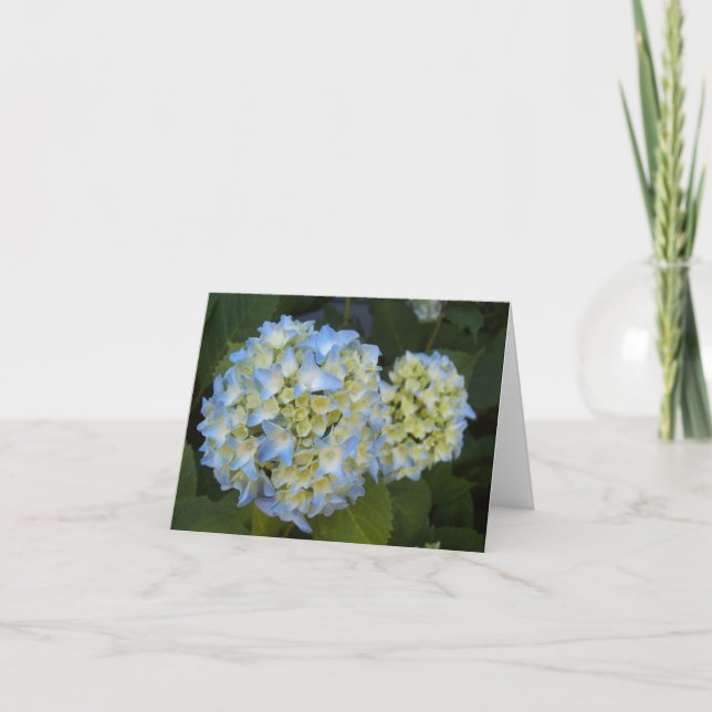 Friends Garden Blank Inside Note Cards Variety (Front)