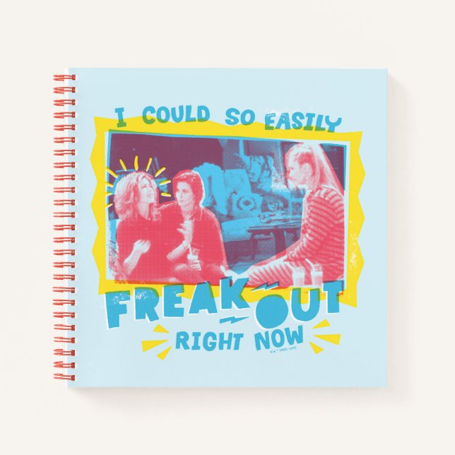 FRIENDS™ | I Could So Easily Freak Out Right Now Notebook (Front)