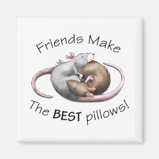 Friends make the BEST pillows! Magnet