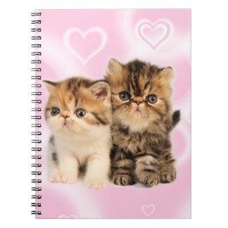 Friends notebook