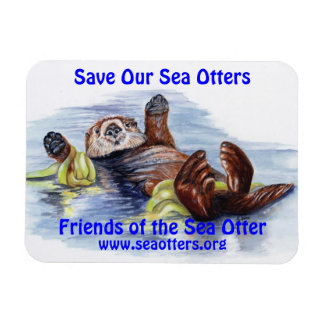 Friends of the Sea Otter Magnet
