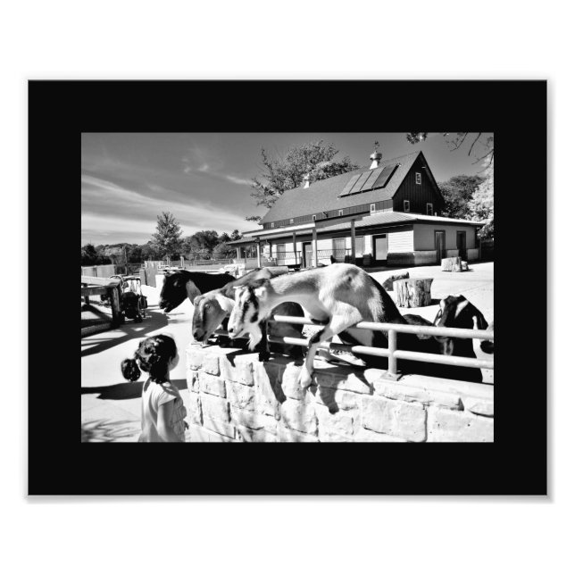 Friends Photo Print (Front)