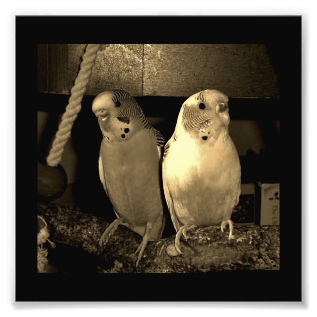 Friends Photo Print (Front)