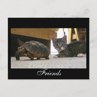Friends Postcard