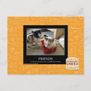 Friends Postcard