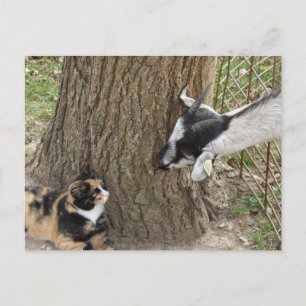 Friends Postcard